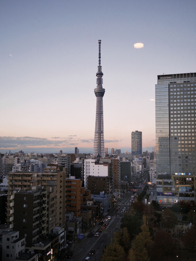 高空中觀賞晴空塔！樂天熊仔餅酒店！#東京酒店