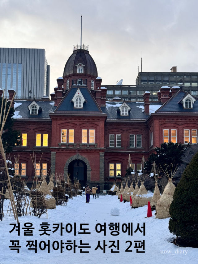 겨울 홋카이도 여행에서 꼭 찍어야하는 사진 2편(삿포로)