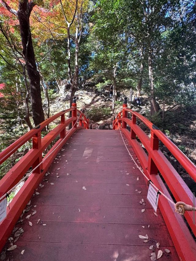 Koishikawa Korakuen (小石川後楽園)
