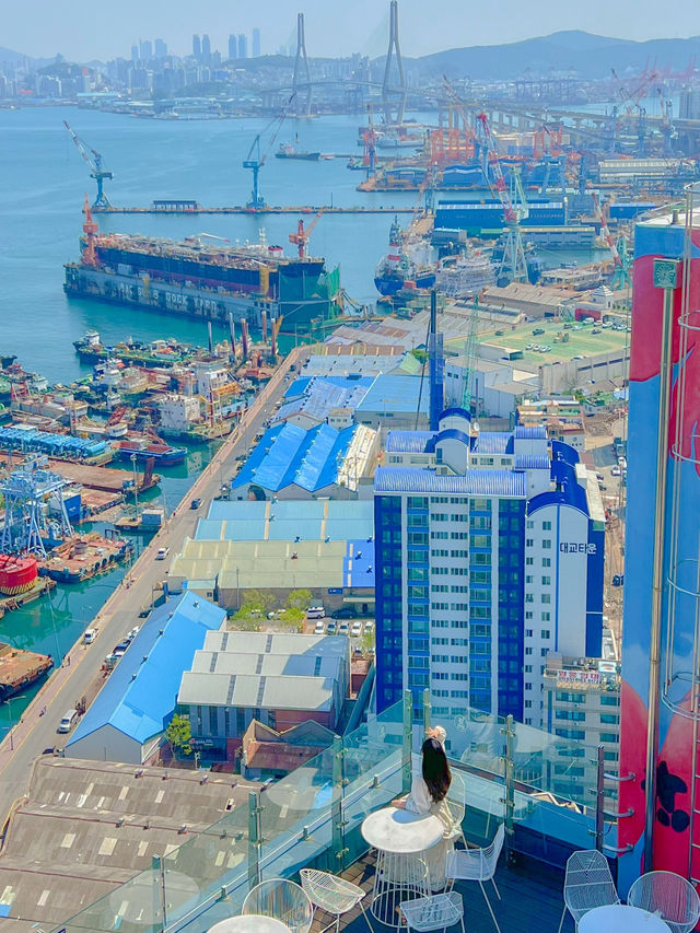 부산 영도에 탁트인 바다 뷰를 볼 수 있는 곳🩵