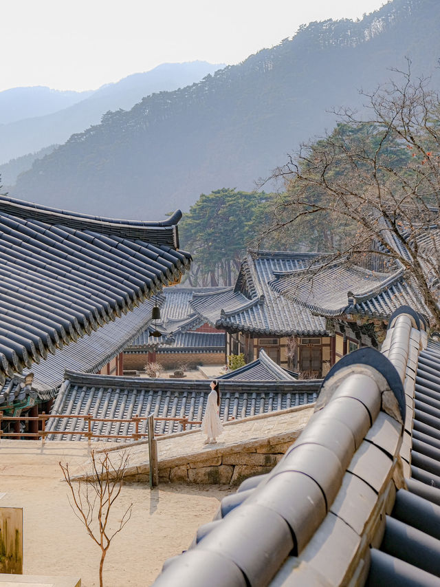 고즈넉한 한국 사찰의 매력을 그대로 느낄 수 있는 곳✨