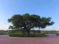 香港罕有的自然生態公園