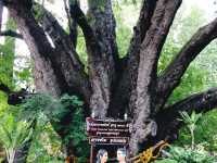 วัดแค จังหวัดสุพรรณบุรี