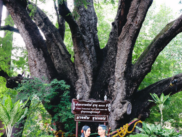 วัดแค จังหวัดสุพรรณบุรี