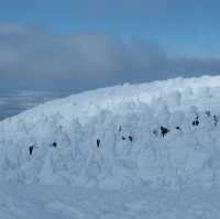 雪季雪國🇯🇵日本藏王限定樹冰