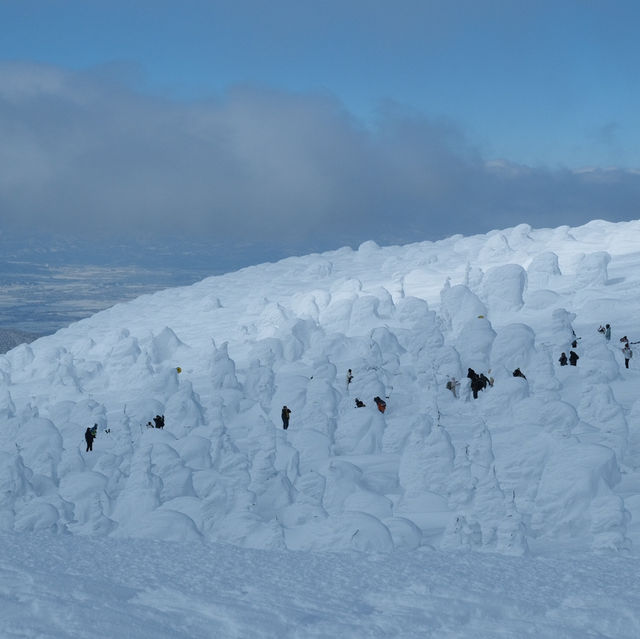 雪季雪國🇯🇵日本藏王限定樹冰