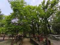 郊遊散步和燒烤的好去處