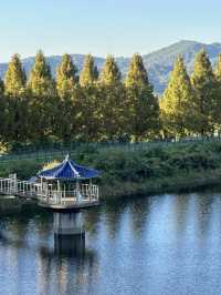 Seoul Grand Park: A Scenic Escape with a Cable Car Adventure