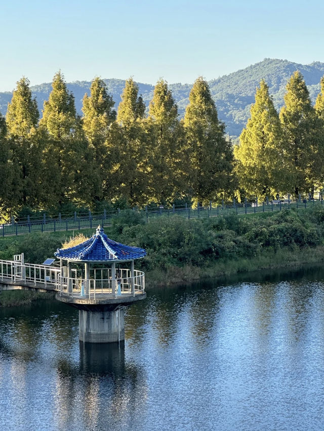 Seoul Grand Park: A Scenic Escape with a Cable Car Adventure