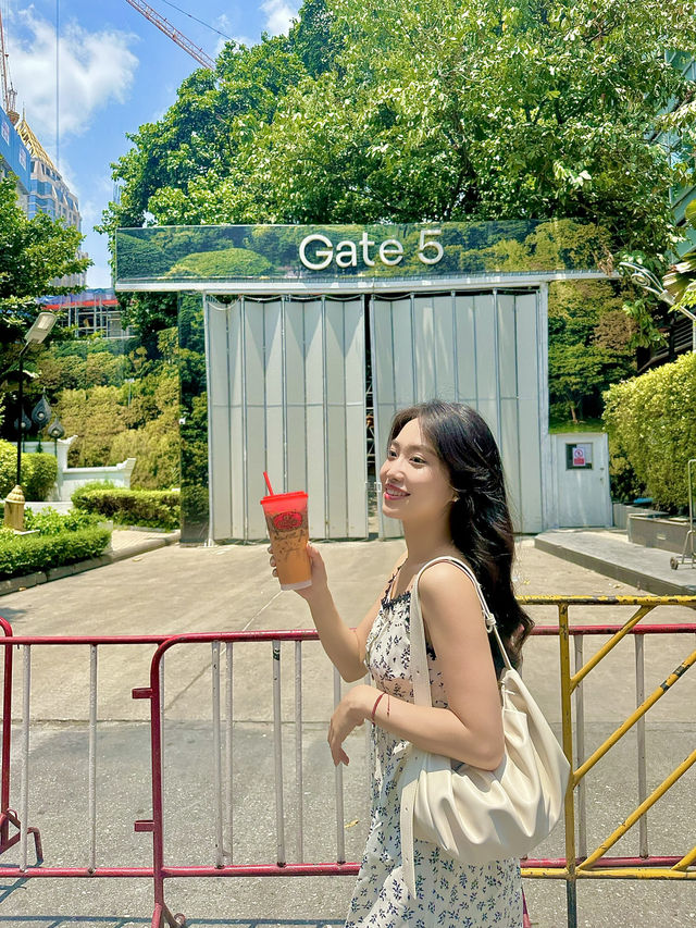 방콕에 인기 많은 음료
