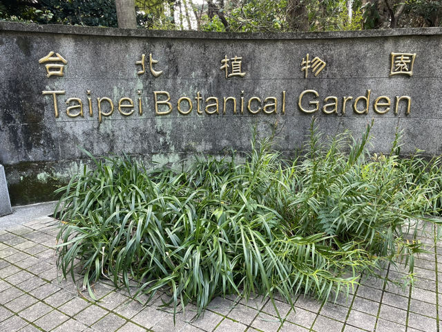 Stroll at Taipei Botanical Garden: A Refreshing Escape 🌸🌿 