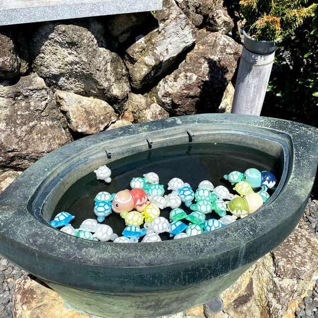 手水舎に浮かぶアヒルが可愛すぎる🐥