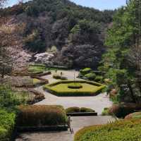 Dainohara Forest Park (台原森林公園)