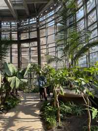 【東京】渋谷にある日本一小さな植物園🪴