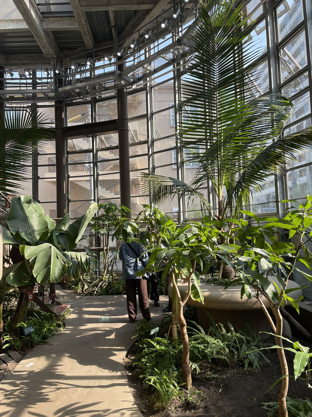 【東京】渋谷にある日本一小さな植物園🪴