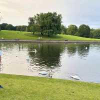 fantastic spot for a family day out