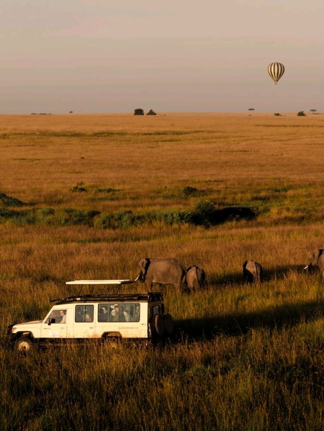 Hot Air Balloon Safari in Masai Mara - Kenya with Endless Views!