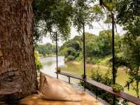 𝐎𝐧𝐥𝐲 𝐰𝐞 𝐊𝐧𝐨𝐰 𝐜𝐚𝐟𝐞 🌳☕️🍃