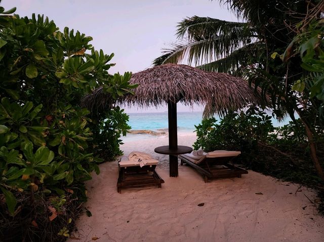 [🇲🇻モルディブ] ワンランク上の贅沢、Milaidhoo Maldivesのビーチフロントヴィラ