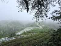 Get lost in nature’s beauty…