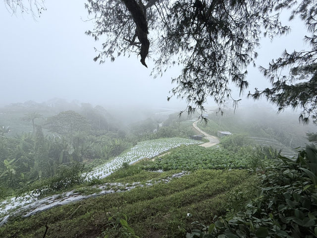 Get lost in nature’s beauty…
