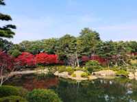濃縮廣島四季美景，楓紅如畫的縮景園