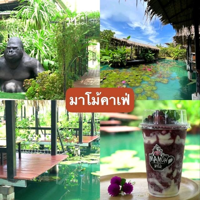 คาเฟ่ อาหารอร่อย กิจกรรมเยอะ จบที่นี่ มาโม้คาเฟ่🦧