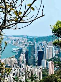 Victoria Peak: A Rewarding Hike