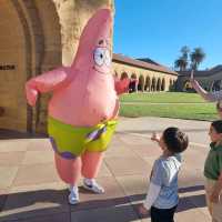 Exploring Stanford University: A Must-Visit Destination