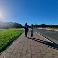 Exploring Stanford University: A Must-Visit Destination
