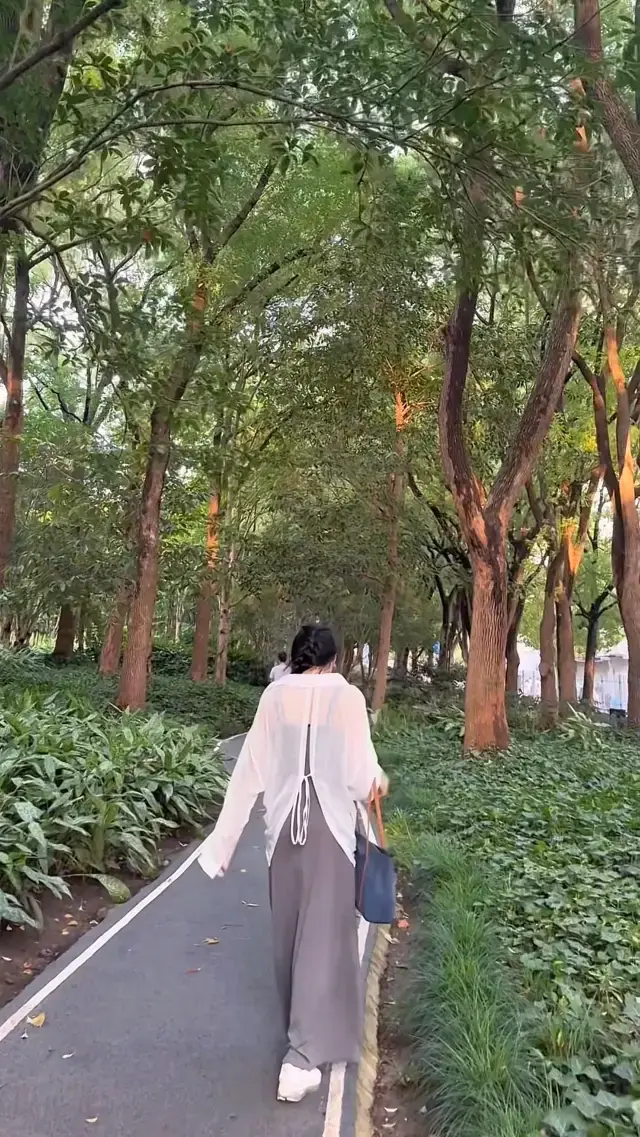 Shanghai after the rain 