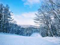 【極上パウダー】コスパ最強！カムイスキーリンクスで大満足❄️