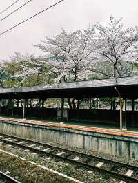 福岡遊