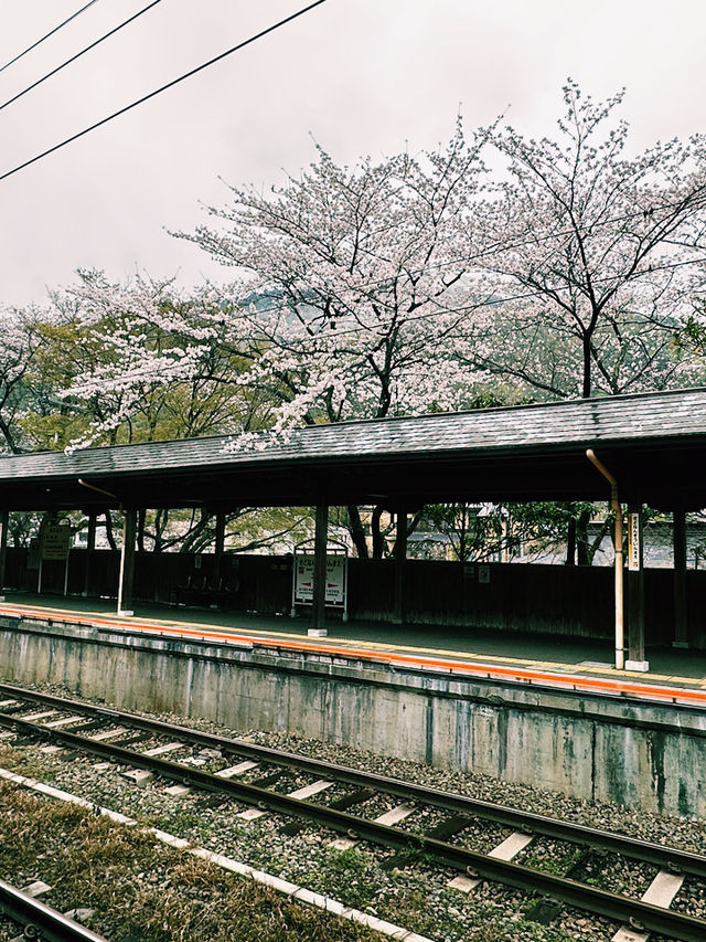 福岡遊