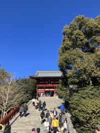 ⛩️ 鎌倉観光の定番！鶴岡八幡宮 & 小町通り食べ歩きガイド 🍡
