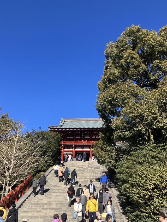 ⛩️ 鎌倉観光の定番！鶴岡八幡宮 & 小町通り食べ歩きガイド 🍡