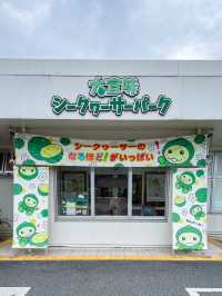 【沖縄】大宜味村 入場無料で楽しめるシークヮーサーパーク
