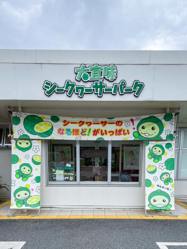 【沖縄】大宜味村 入場無料で楽しめるシークヮーサーパーク