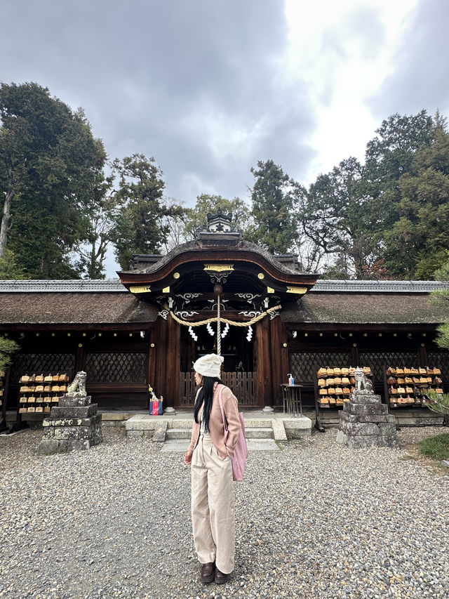 แพลนเที่ยว 1 Day Trip เที่ยวอาราชิยามะ เกียวโต