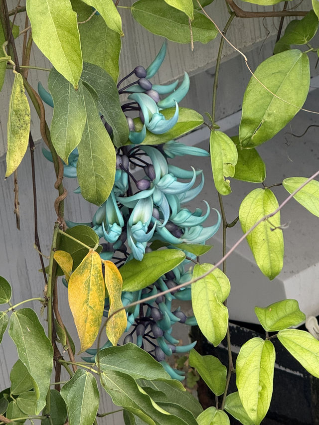 一気に華やかに