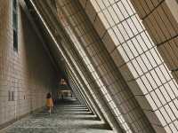 Hong Kong Cultural Centre ฮ่องกง ริมอ่าว