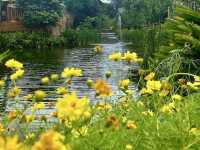 Manila Zoological and Botanical Garden
