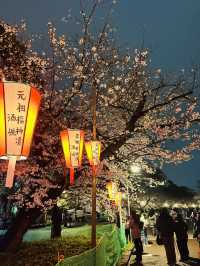 都内屈指のお花見名所🌸上野恩賜公園で春満喫！