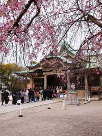 大阪城🌸