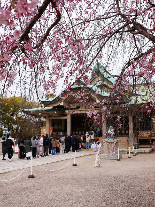 大阪城🌸