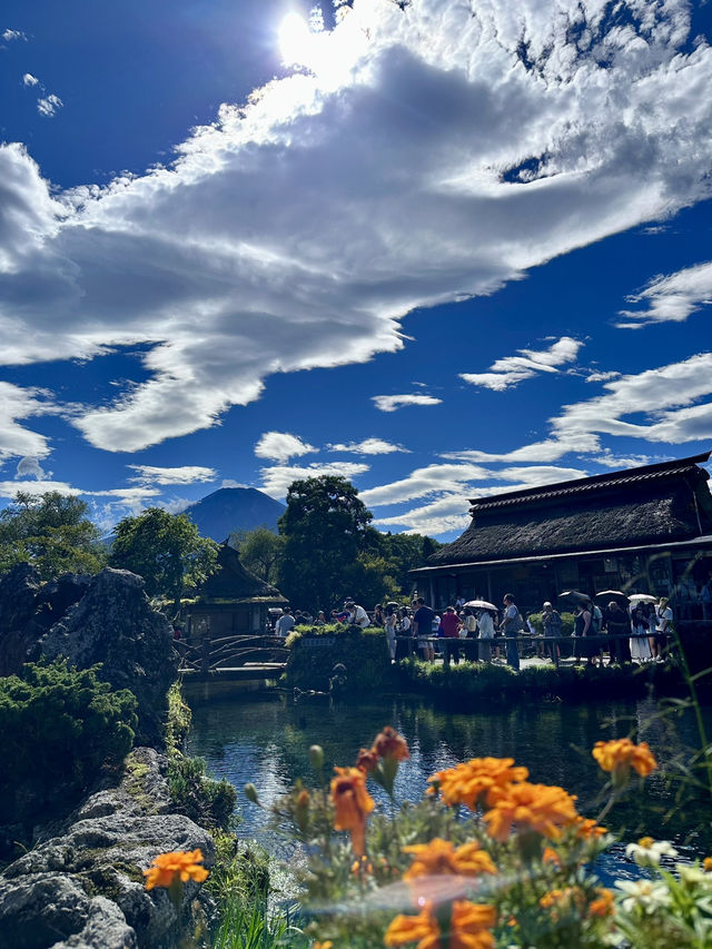 I think I left my heart In Japan. 