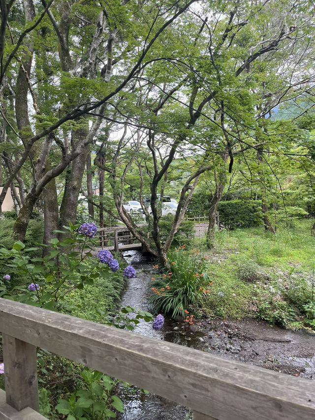 고즈넉한 분위기의 유후인 👺🇯🇵🎋