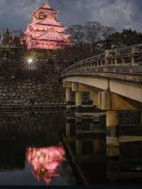 【大阪城】桜満開🌸