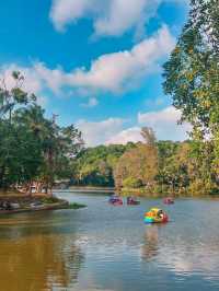สวนสาธารณะเทศบาลนครหาดใหญ่ @สงขลา