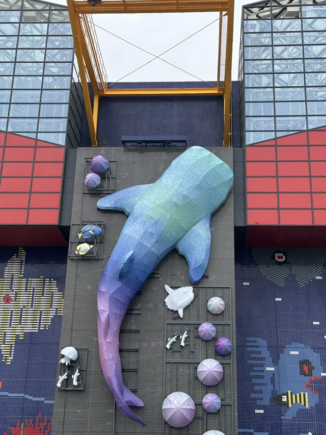 驚喜連連的海遊館🐬